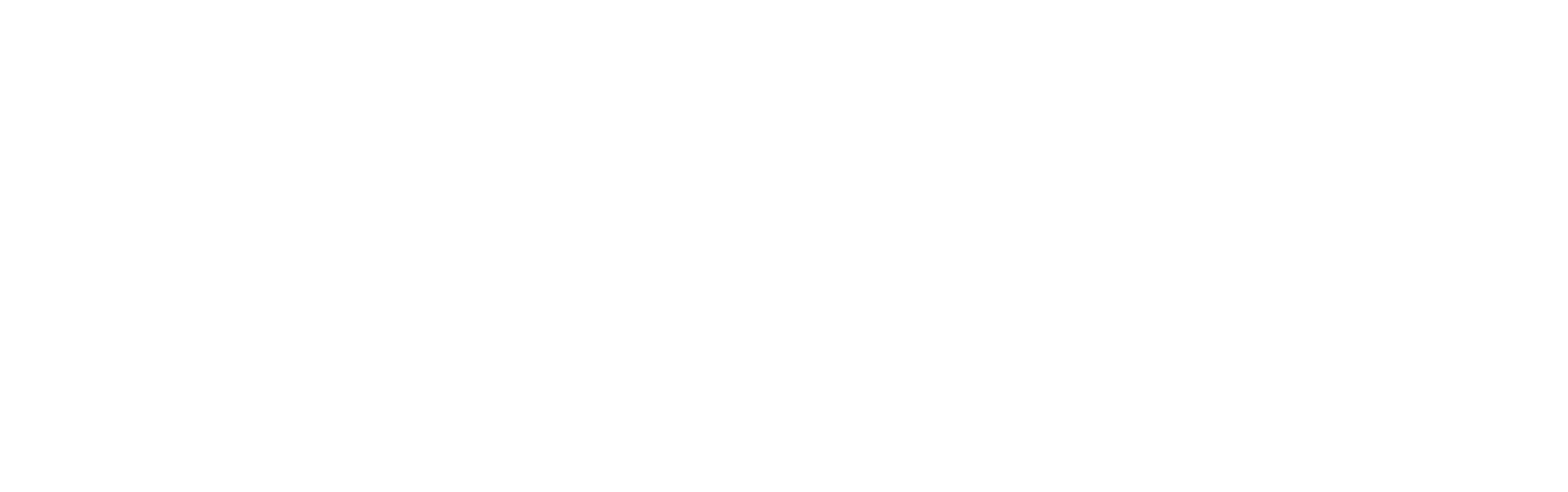 ftv-brand-license-logo